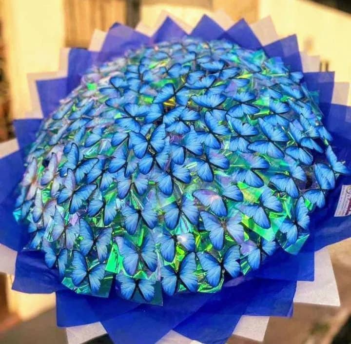 Imagem da campanha Sorteio de um buquê de Borboletas ou R$120,00 no Pix.