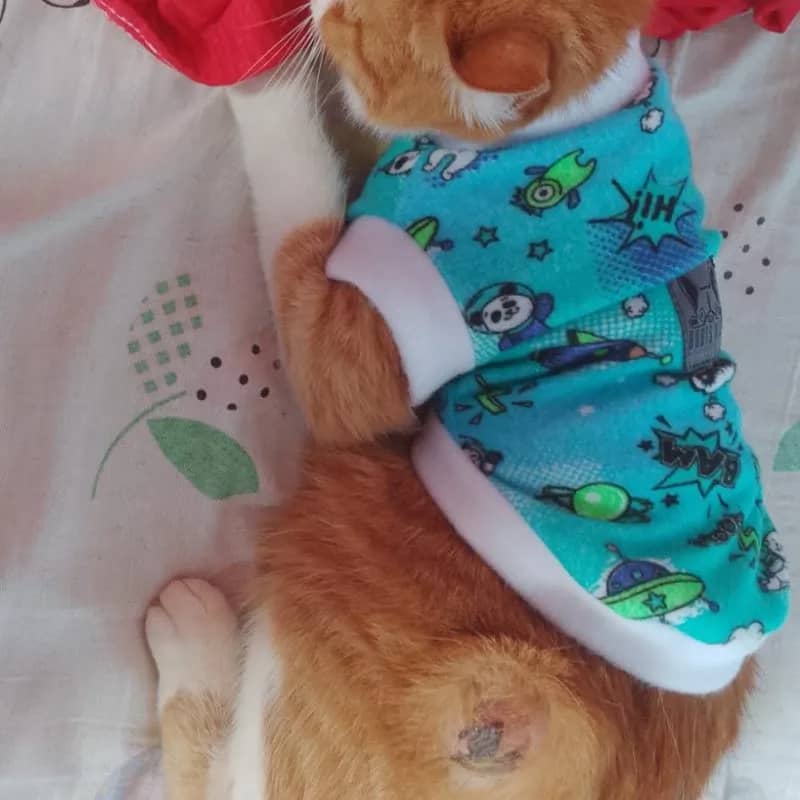 Imagem da campanha Rifa para jade fazer cirurgia e vencer o câncer