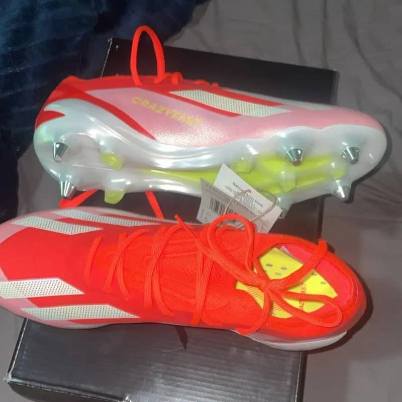 Imagem da campanha Bicho Vila Sandra