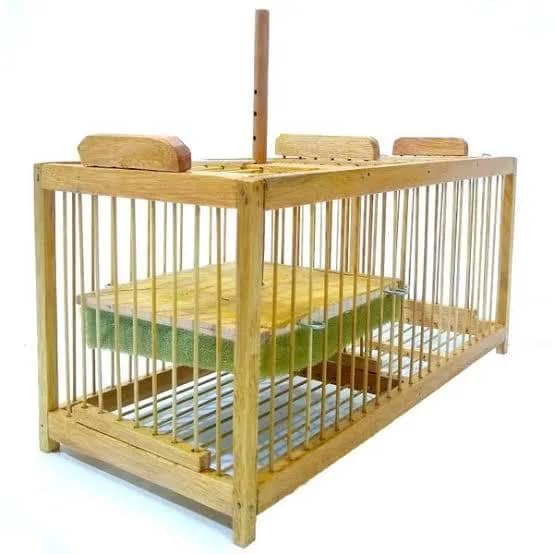 Imagem da campanha Anilhador de pássaros