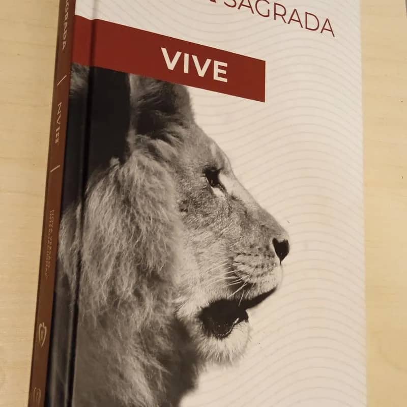 Imagem da campanha Alceu Gabriel