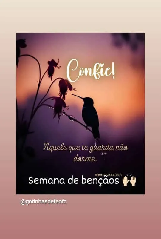 Imagem da campanha Rifa