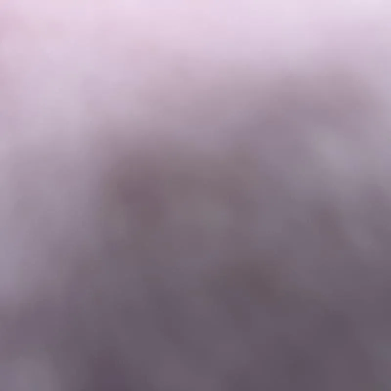 Imagem da campanha Flaviano