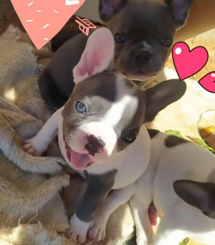 Imagem da campanha Ação entre amigos