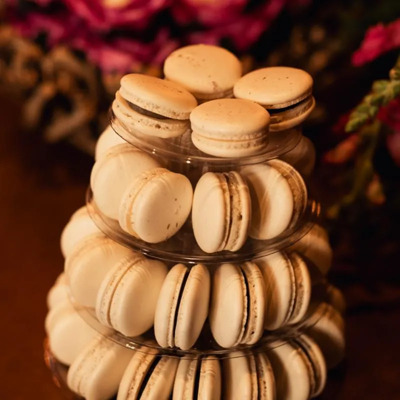 Imagem da campanha Apoie o meu Intercâmbio!