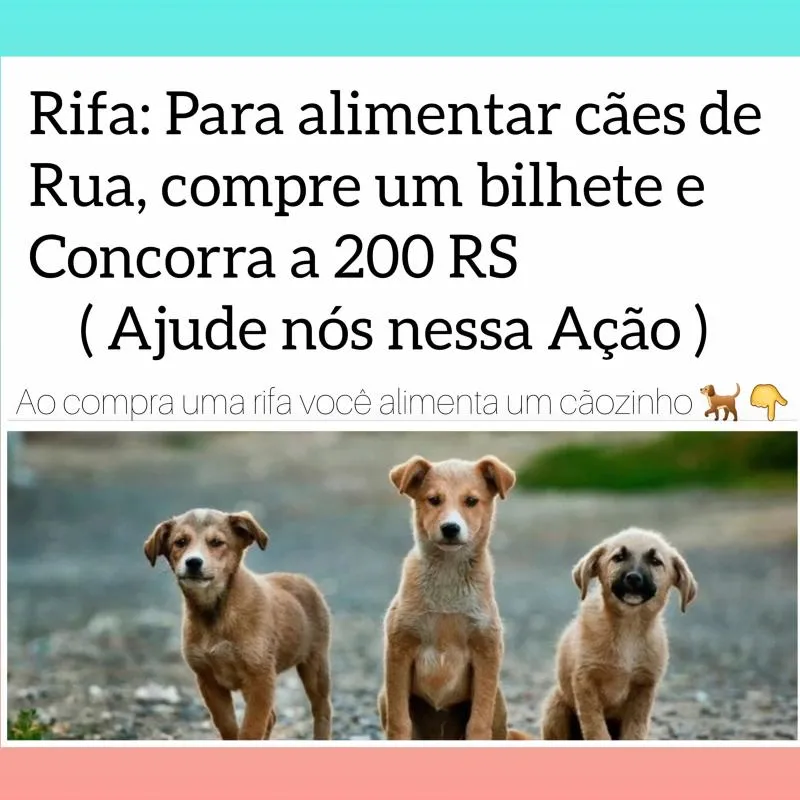 Imagem da campanha Rifa pets feliz