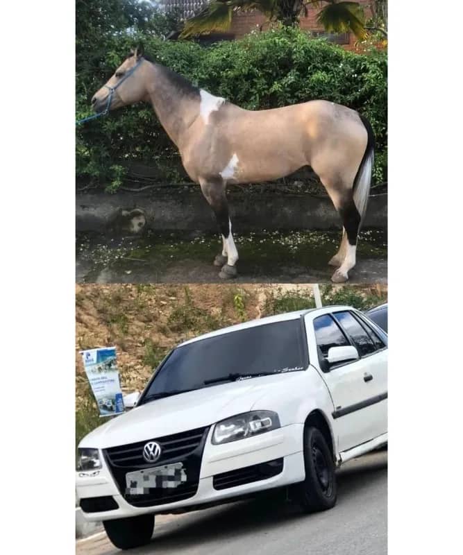 Imagem da campanha Sorteio🍀