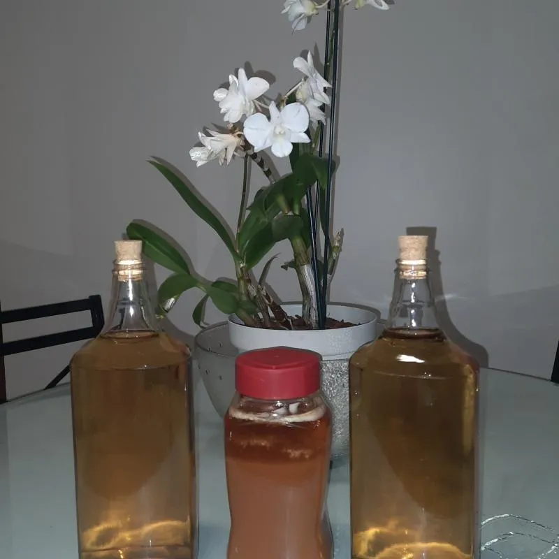 Imagem da campanha Cachaça amiga