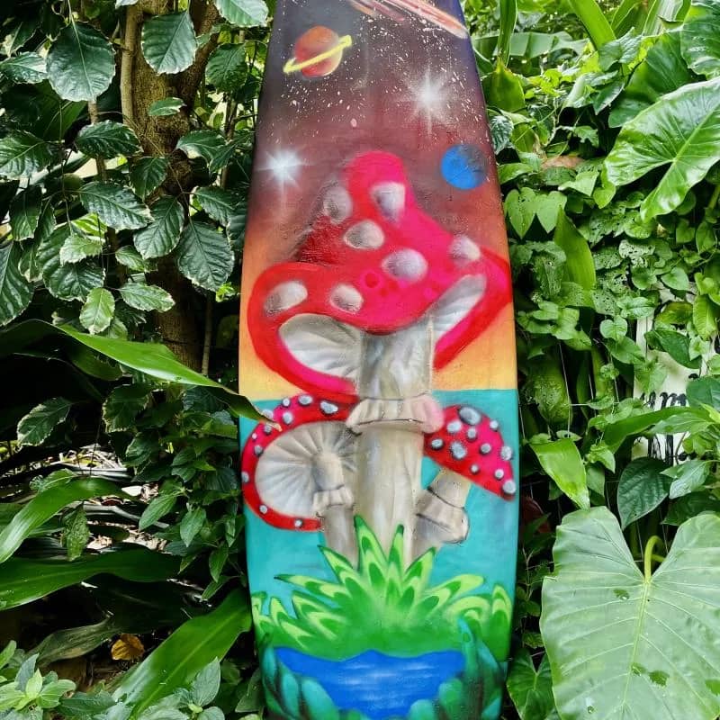 Imagem da campanha Prancha Decorativa