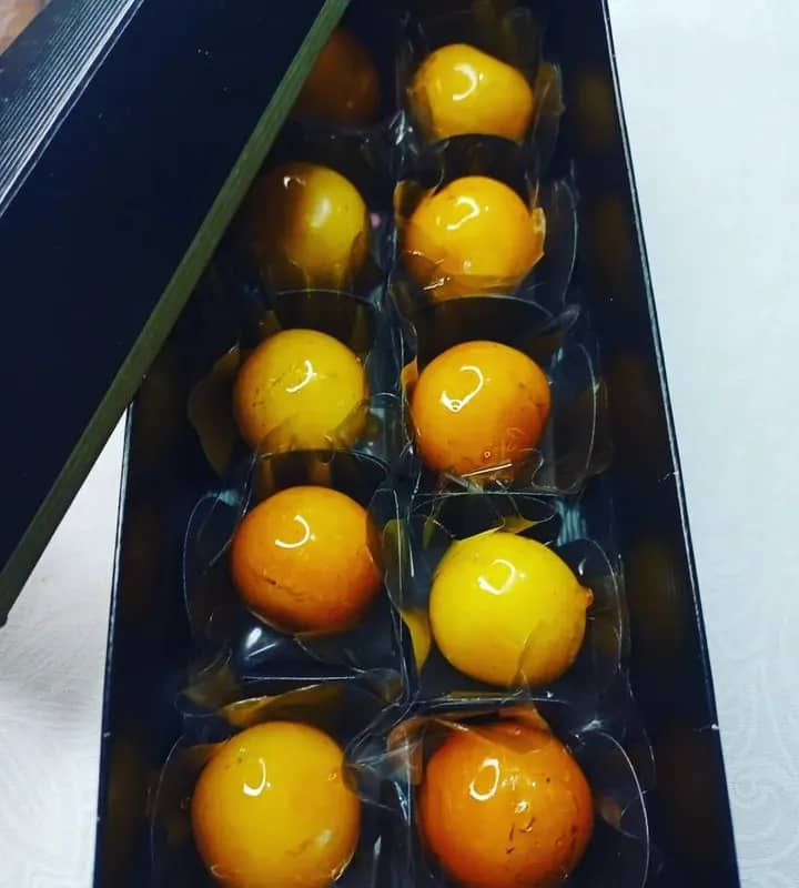 Imagem da campanha SOSleticia