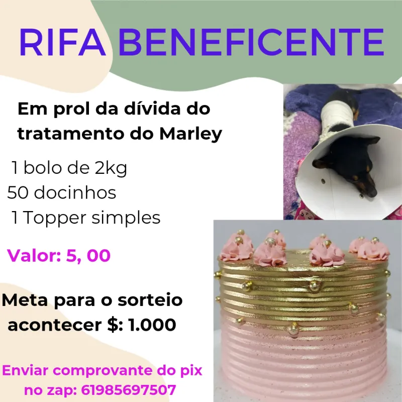 Imagem da campanha RIFA BENEFICENTE AJUDE O MARLEY