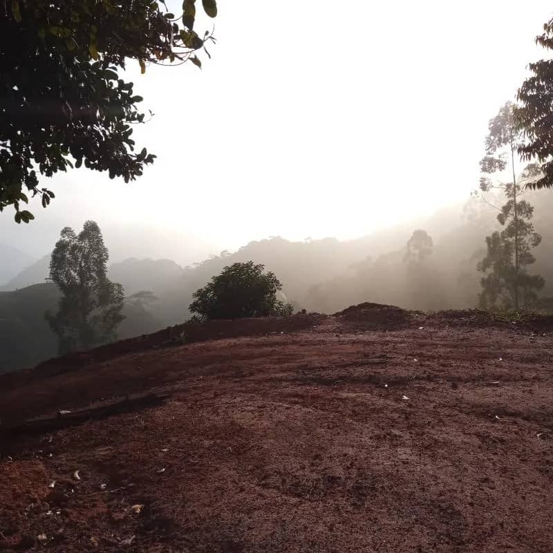 Imagem da campanha Saveiro Vermelha APENAS 1,50