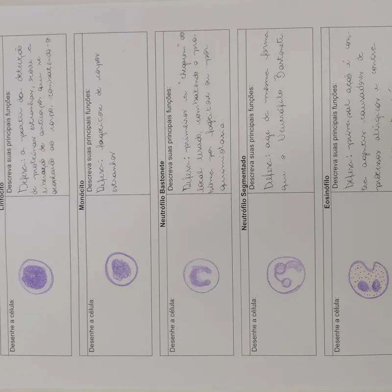 Imagem da campanha iodfjwd