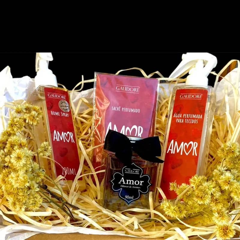 Imagem da campanha Kit Gaudore ou 100,00 no pix