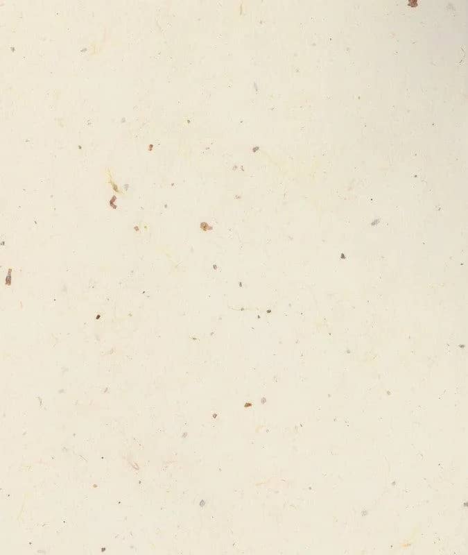 Imagem da campanha Sos João🤍