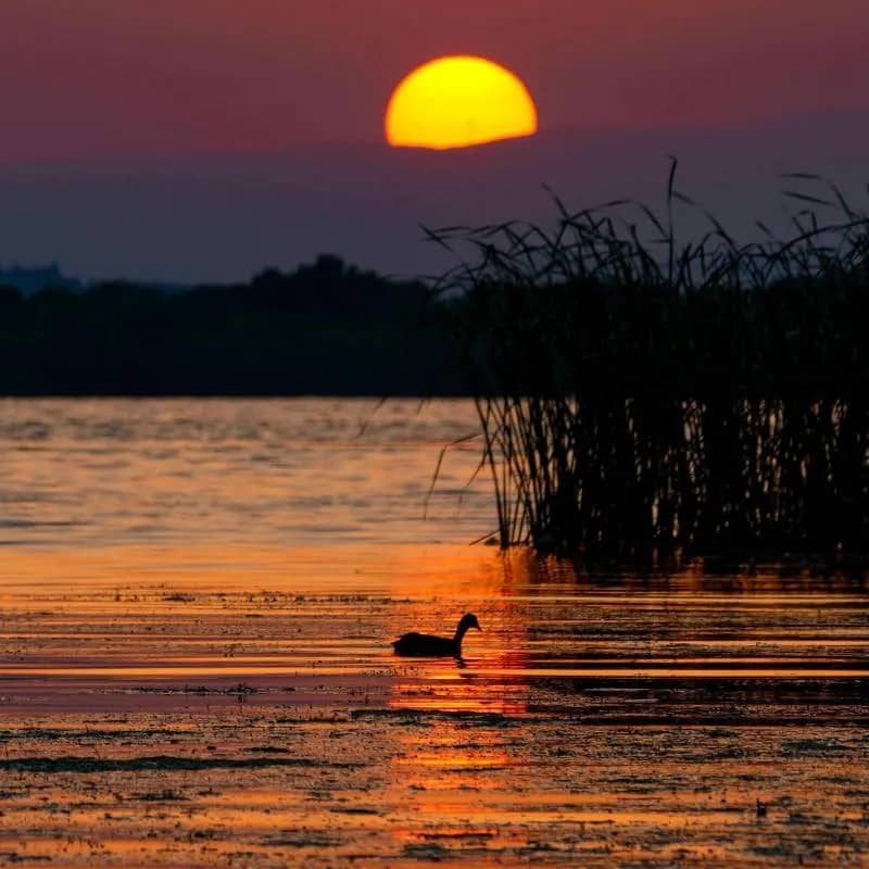 Imagem da campanha Vestido de uma vestido indiano