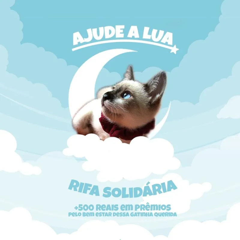 Imagem da campanha AJUDE A LUA