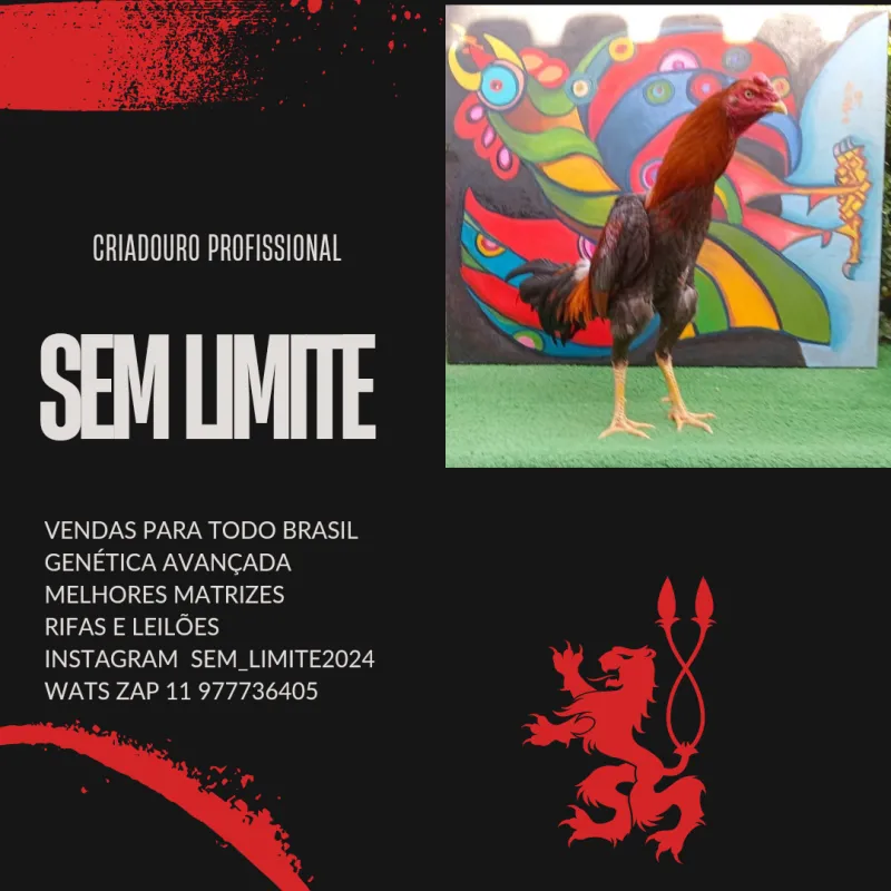 Imagem da campanha FRANGO 15 MESES TESTADO RAÇA VEPO