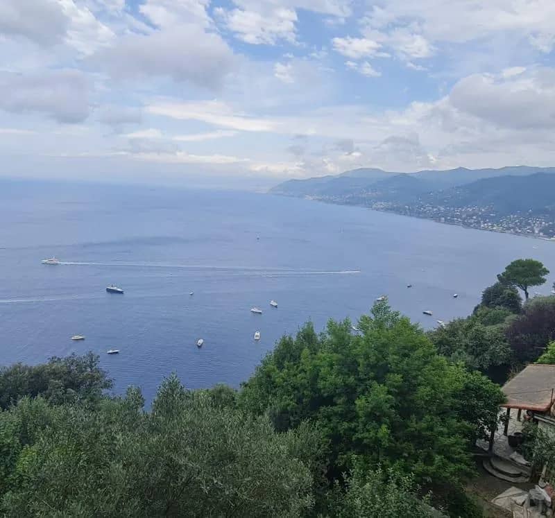 Imagem da campanha RIFA AACOD