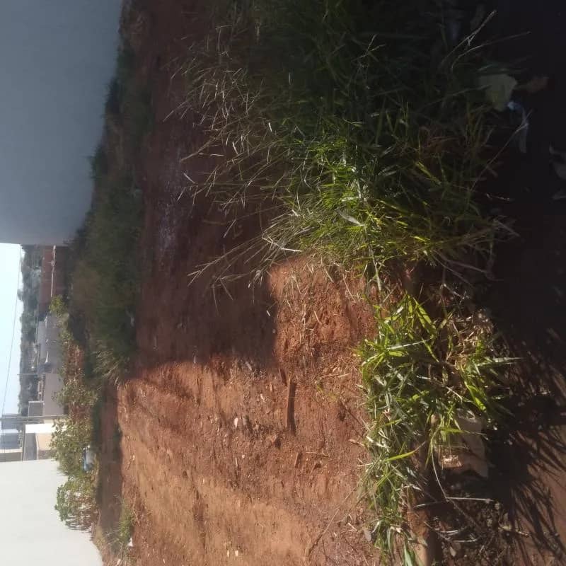 Imagem da campanha Construção Investimento Divino Uberlândia