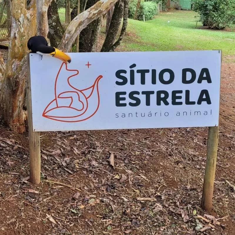 Imagem da campanha Rifa em prol dos animais do Sítio da Estrela em Soledade de Minas/MG