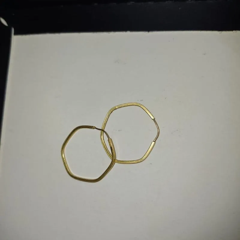 Imagem da campanha Rifa: Um Brinco de Ouro🥇