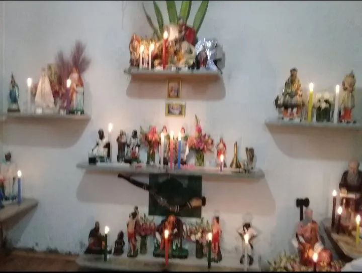 Imagem da campanha Amor e vida