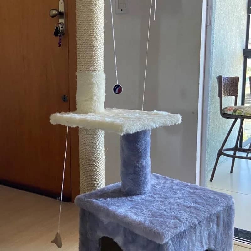 Imagem da campanha Rifa em prol dos cães resgatados da enchente