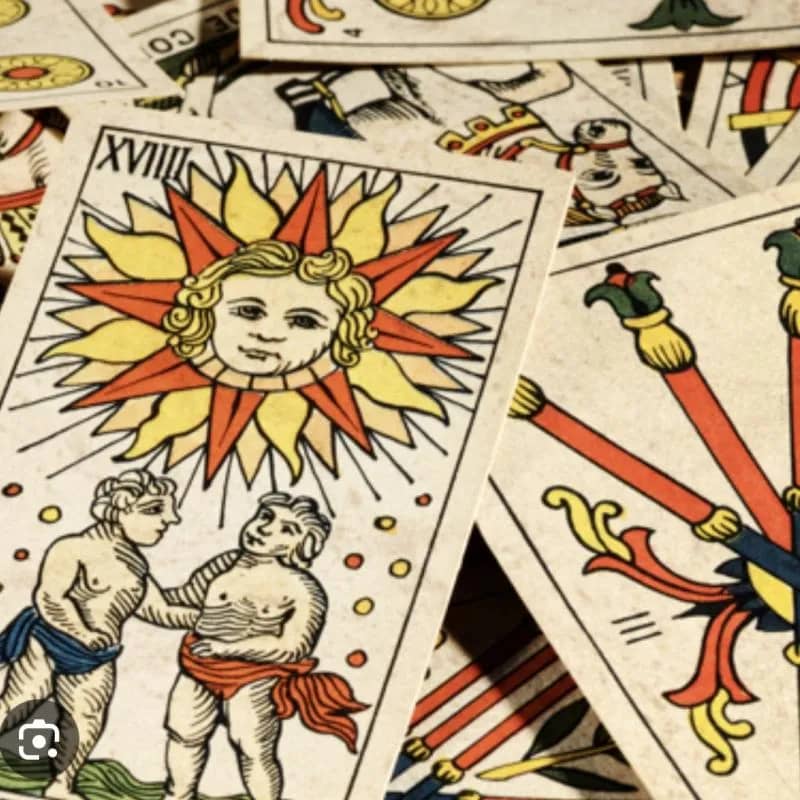 Imagem da campanha Arrecadação para um pet