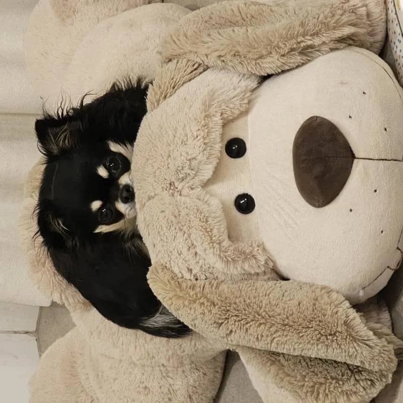 Imagem da campanha A