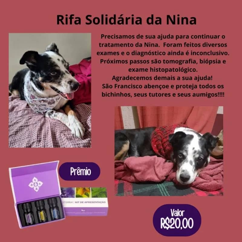 Imagem da campanha Rifa Solidária da Nina