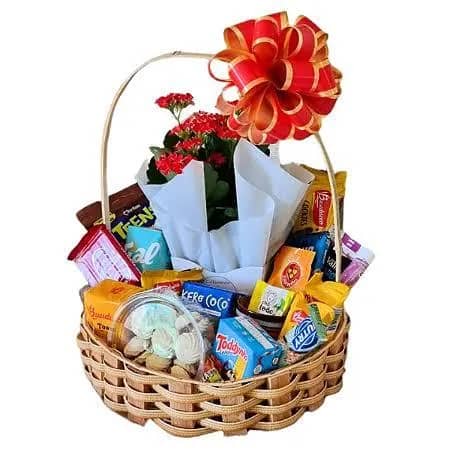 Imagem da campanha Exames oftalmo