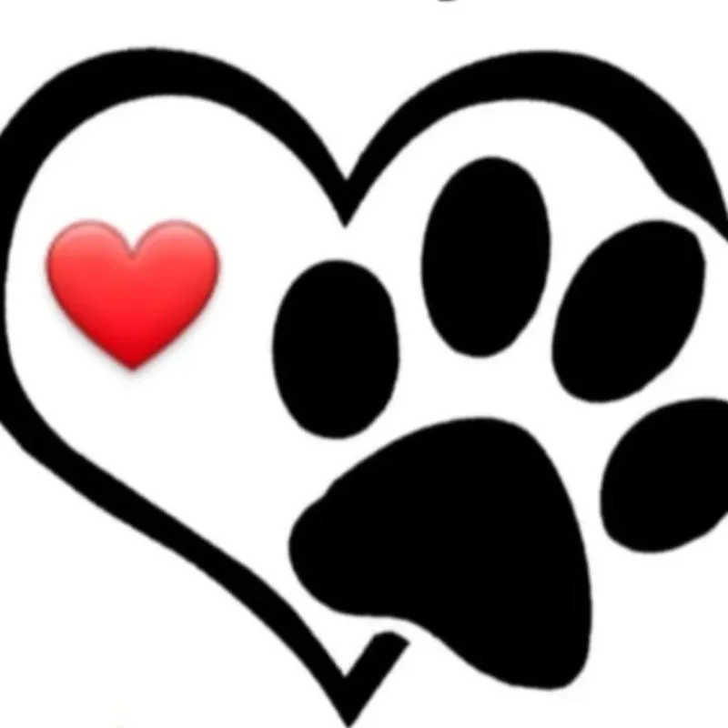 Imagem da campanha Realizando um sonho