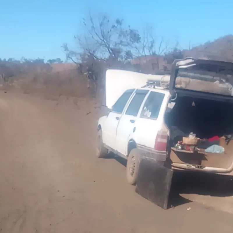 Imagem da campanha "De volta para minha terra"