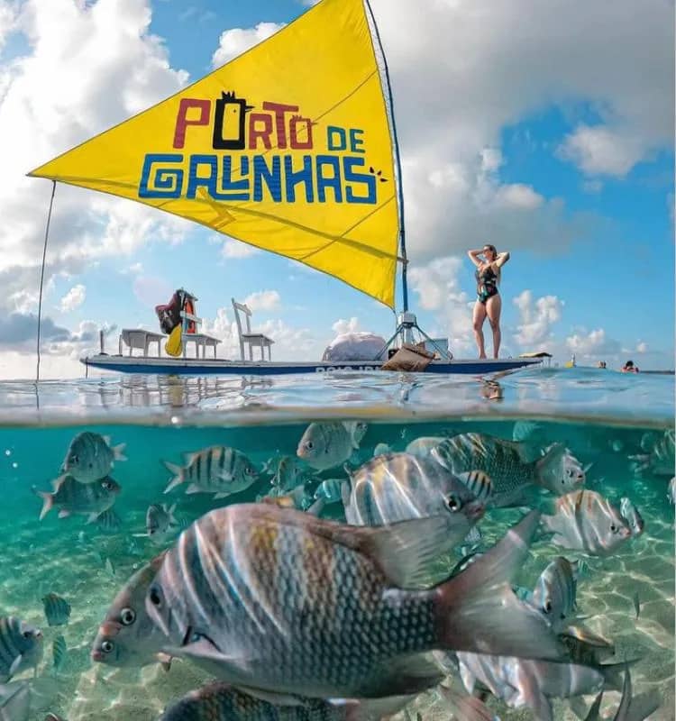 Imagem da campanha Pacote viagem Porto de Galinhas