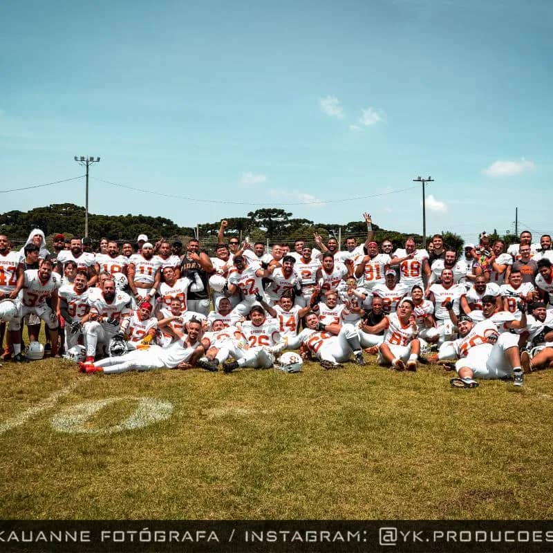 Imagem da campanha Brown Spiders Vs Weillers