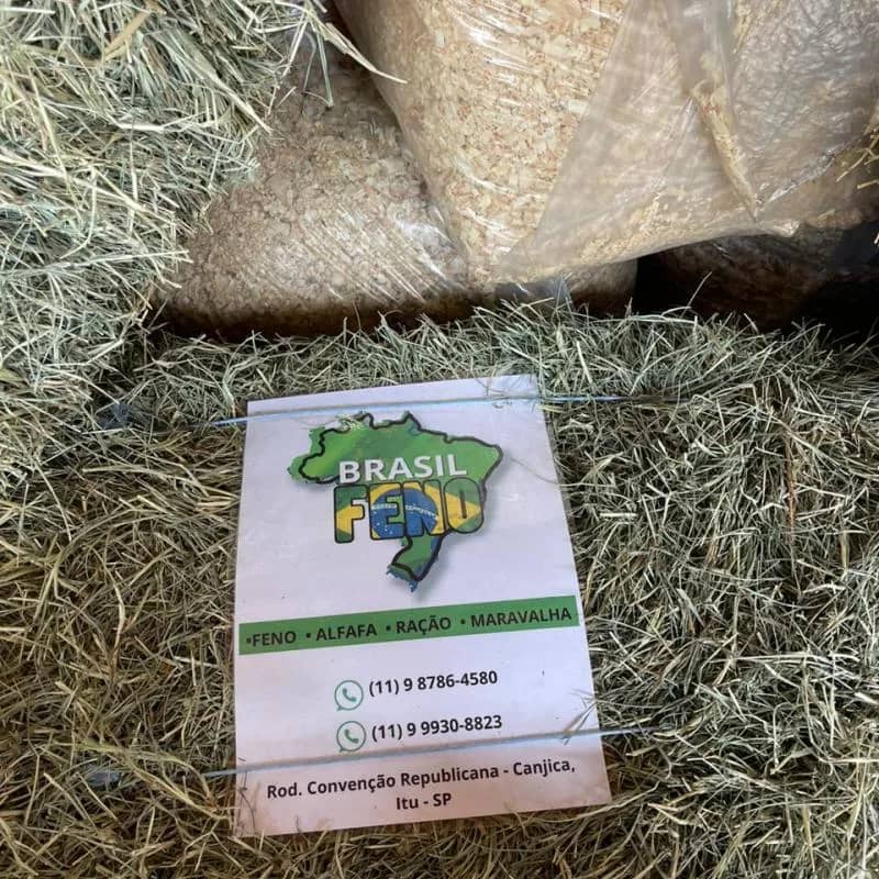 Imagem da campanha Em prol a Romaria Feminina de Salto