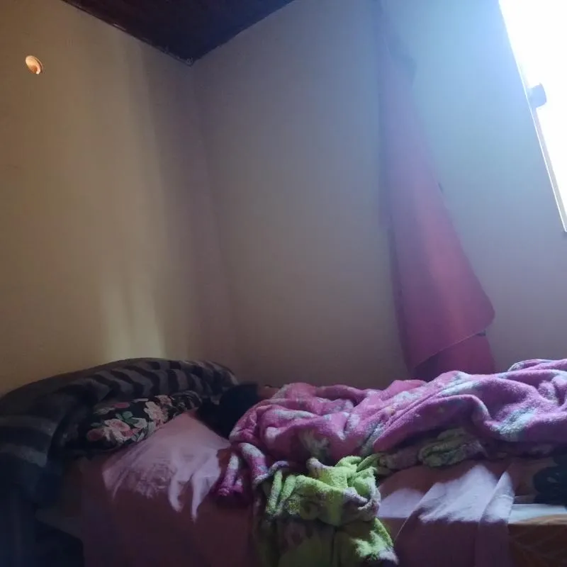 Imagem da campanha Boiadeira