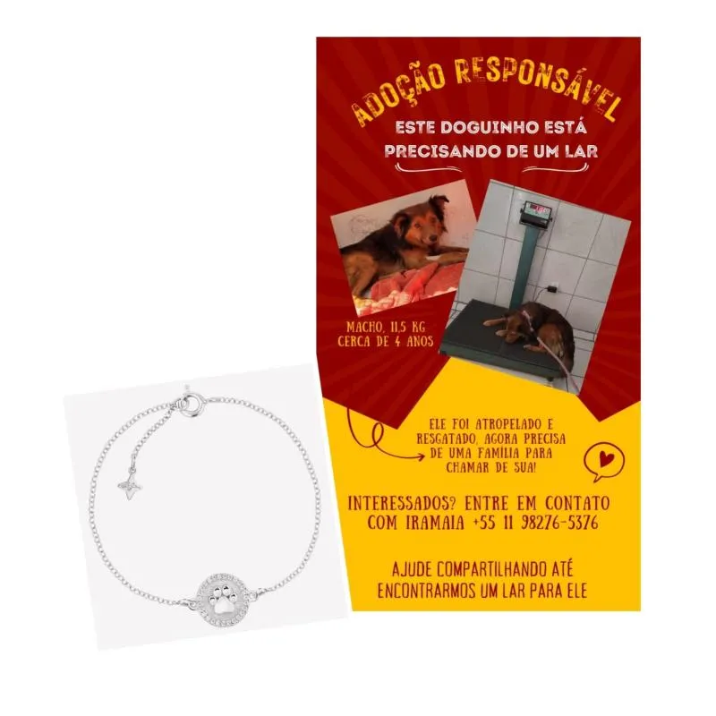 Imagem da campanha Rifa Solidária - Um lar para um doguinho