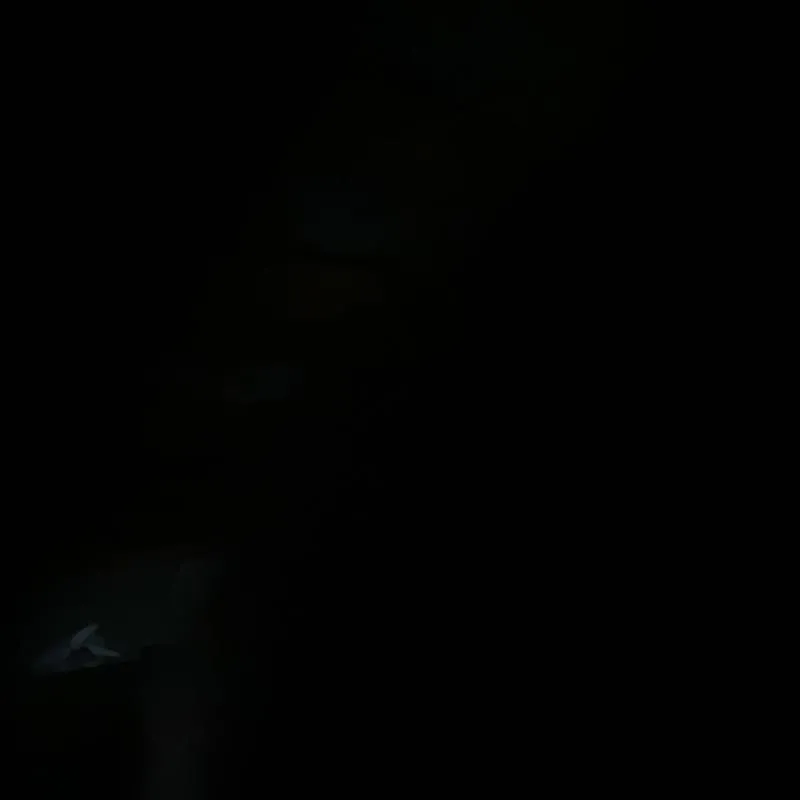 Imagem da campanha Ritinha de 1k pra vcs