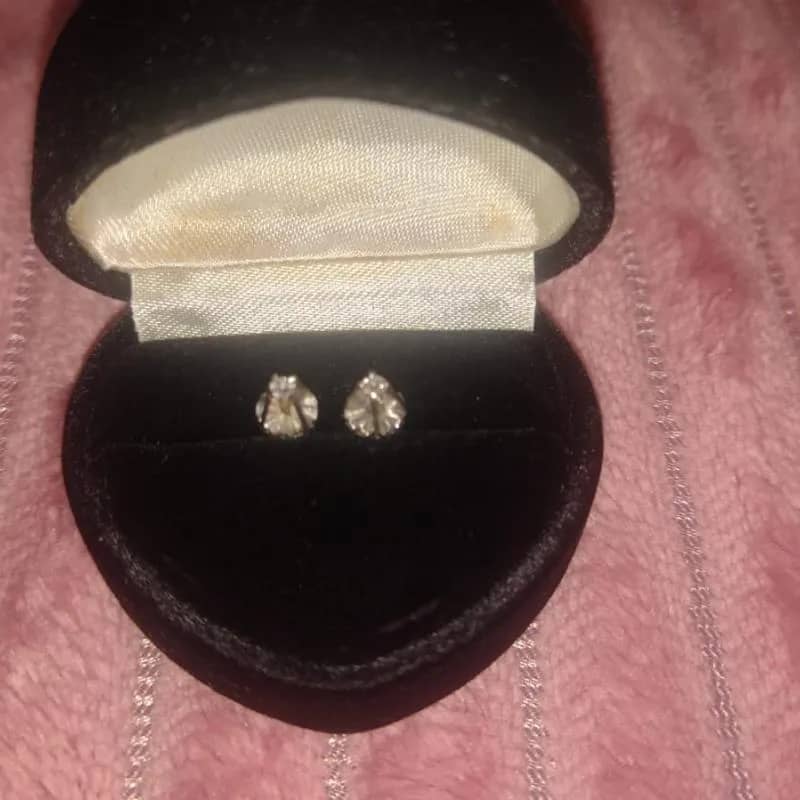 Imagem da campanha Brincos ouro branco com brilhante