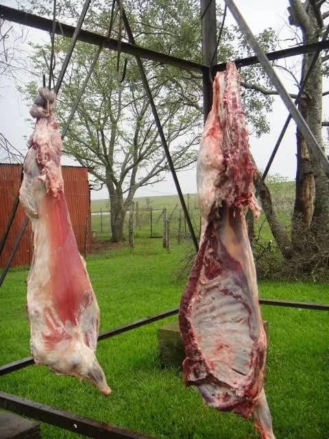 Imagem da campanha Ovelha +1 fardo de cerveja