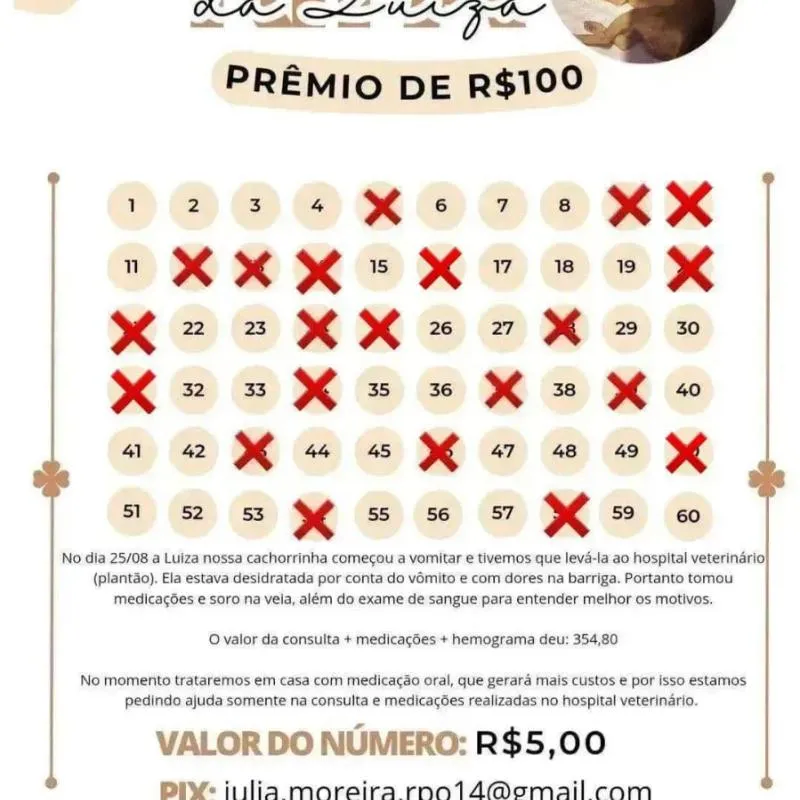 Imagem da campanha Rifa luiza