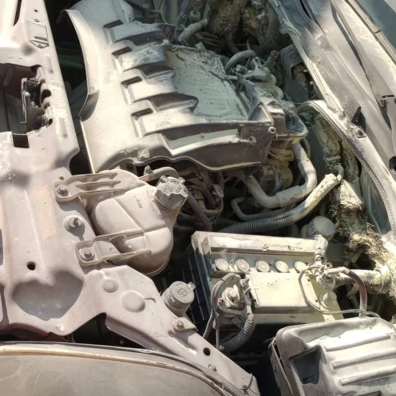 Imagem da campanha Rifa Solidária da Sorte