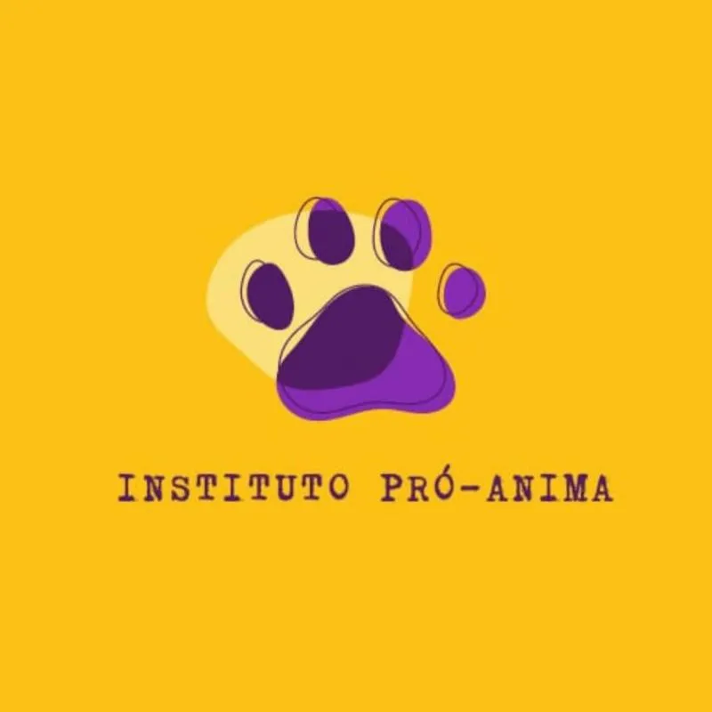 Imagem da campanha Rifa Beneficiente Pró- Anima