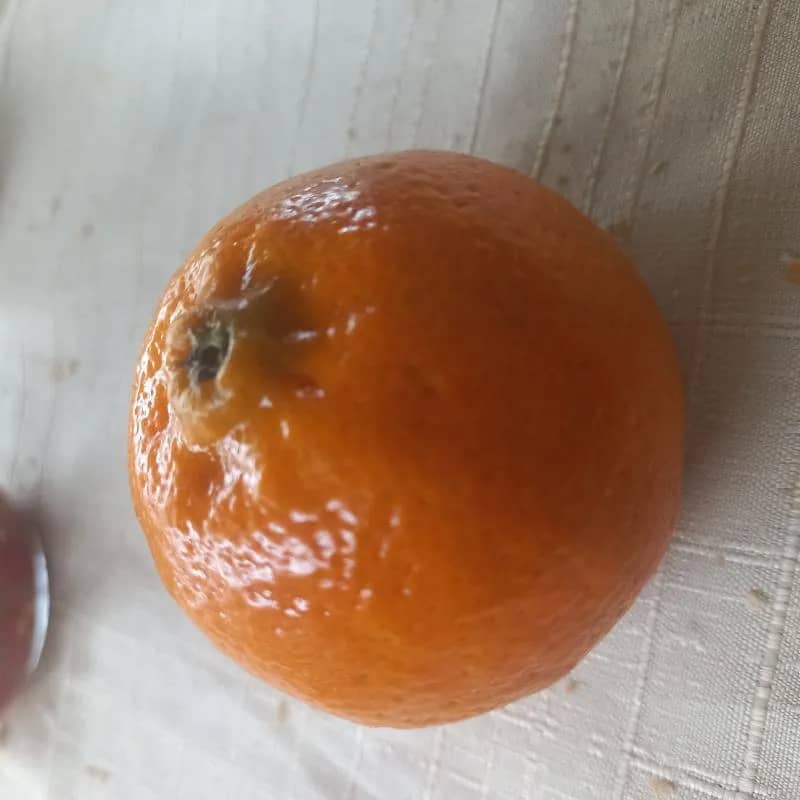 Imagem da campanha Rifa eba