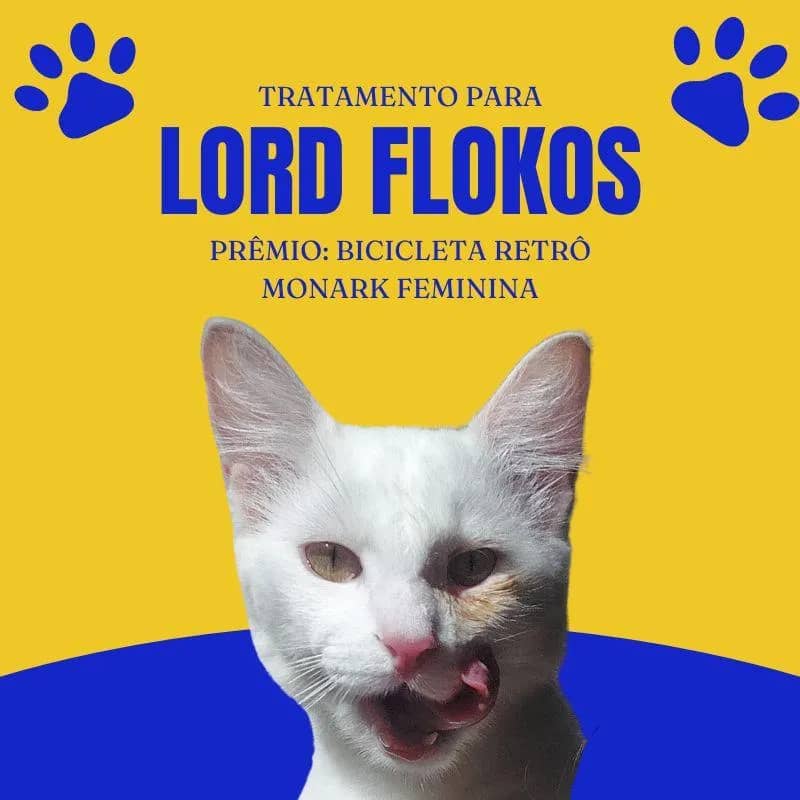 Imagem da campanha Ajude Lord Flokos