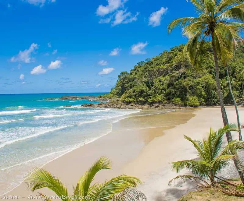 Imagem da campanha Campinas