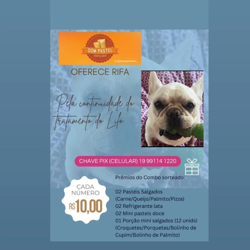 Imagem da campanha Juntos pelo Lilo