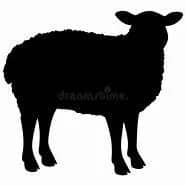 Imagem da campanha Rifa Solidária de 01 carneiro em prol do amigo Didi de Santa.